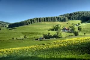 Ciekawostki o kosmetykach arganowych i nie tylko!